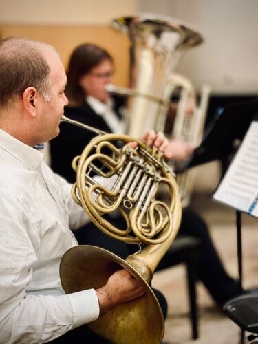 One plays the French horn in focus, while the other plays a tuba in the blurred background.